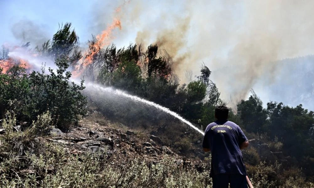 Εξελίσσεται η φωτιά στην Κάρυστο Ευβοίας - Ισχυροί άνεμοι πνέουν στην περιοχή